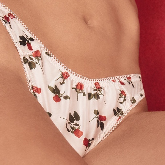 NWT FOR LOVE & LEMONS Love Song Roses Bra & Thong SET - Picture 9 of 11